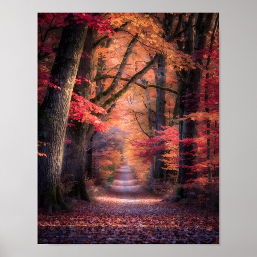 Autumn Path in Vermont Forest Poster (Voorkant)