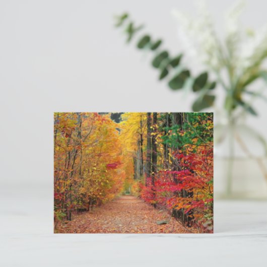 Autumn pathway, briefkaart (Staand voorkant)