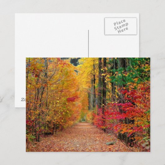 Autumn pathway, briefkaart (Voorkant / Achterkant)