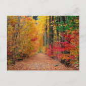 Autumn pathway, briefkaart (Voorkant)