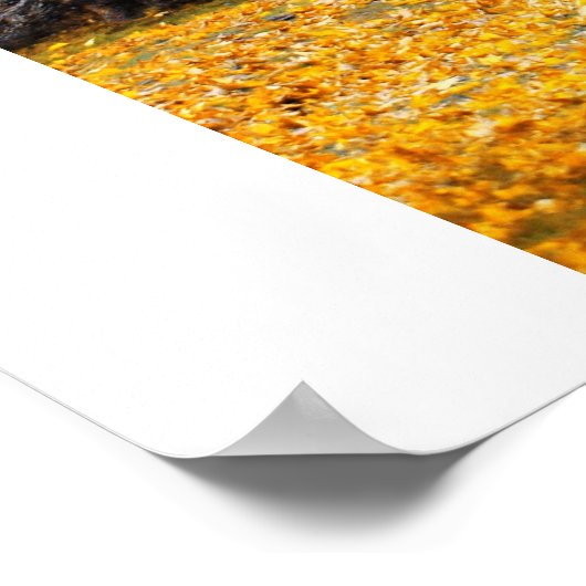 Autumn Pathway Poster (Hoek)