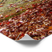 Autumn Pathway Poster (Hoek)
