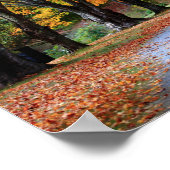 Autumn Pathway Poster (Hoek)