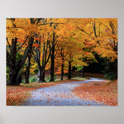 Autumn Pathway Poster (Voorkant)