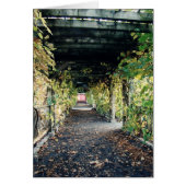 Autumn Pergola (Voorkant)