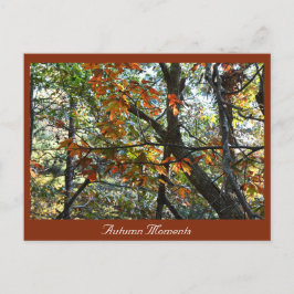 Autumn Photo Briefkaart