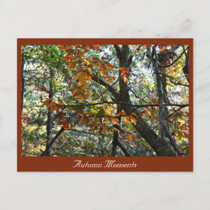 Autumn Photo Briefkaart