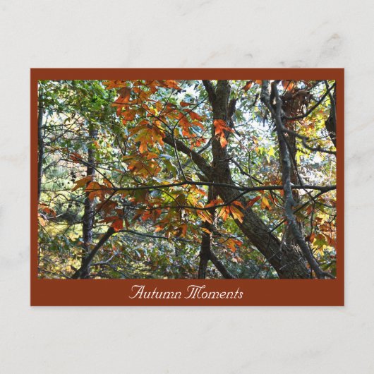 Autumn Photo Briefkaart (Voorkant)