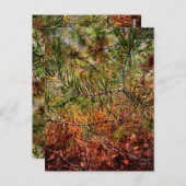 Autumn Pine Needles  Briefkaart (Voorkant / Achterkant)