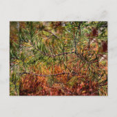 Autumn Pine Needles  Feestdagenkaart (Voorkant)