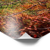 Autumn Pine Needles  Foto Afdruk (Hoek)