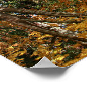 Autumn Pond, Landschap, ondersteboven Poster (Hoek)