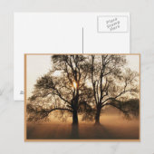 Autumn Post Card Briefkaart (Voorkant / Achterkant)