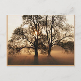 Autumn Post Card Briefkaart