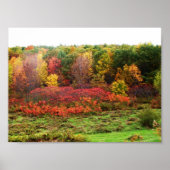 AUTUMN POSTER (Voorkant)