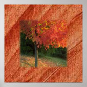 Autumn Print (Voorkant)