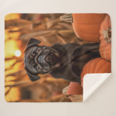 Autumn Pug Sherpa Deken (Voorkant (horizontaal))