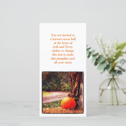 Autumn Pumpkin (Staand voorkant)