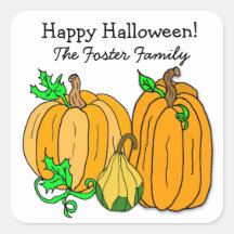 Autumn Pumpkin en Squash Halloween Herfst Seasonal