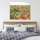 Autumn Pumpkin-patchfotografie Canvas Afdruk (Insitu (Slaapkamer))