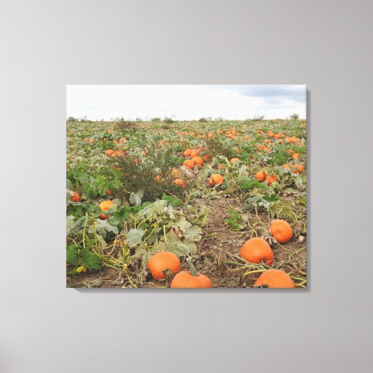 Autumn Pumpkin-patchfotografie Canvas Afdruk (Voorkant)