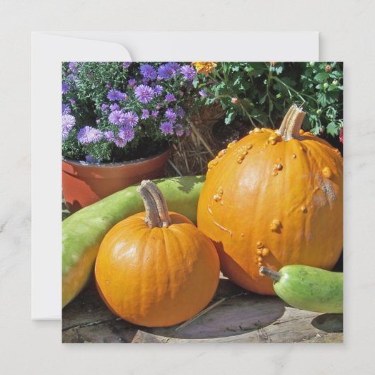 Autumn Pumpkins and Flowers (Achterkant)