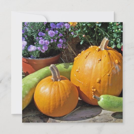 Autumn Pumpkins and Flowers (Voorkant)