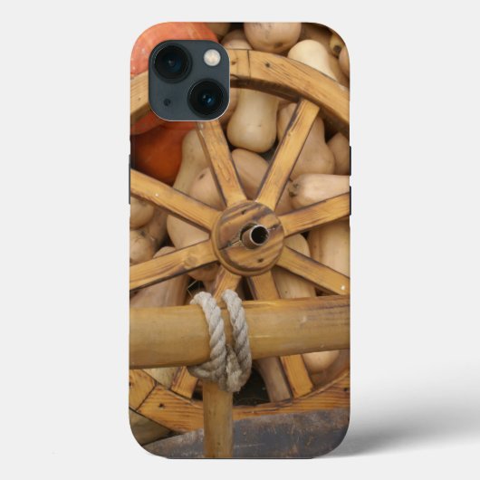 Autumn pumpkins Case-Mate iPhone case (Achterkant)
