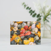 Autumn Pumpkins, Gourds and Squashes Briefkaart (Staand voorkant)