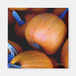 "Autumn Pumpkins" Magnet