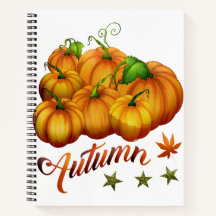 Autumn pumpkins