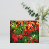 Autumn Rain Briefkaart (Staand voorkant)