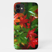 Autumn Rain Case-Mate iPhone Case (Achterkant)