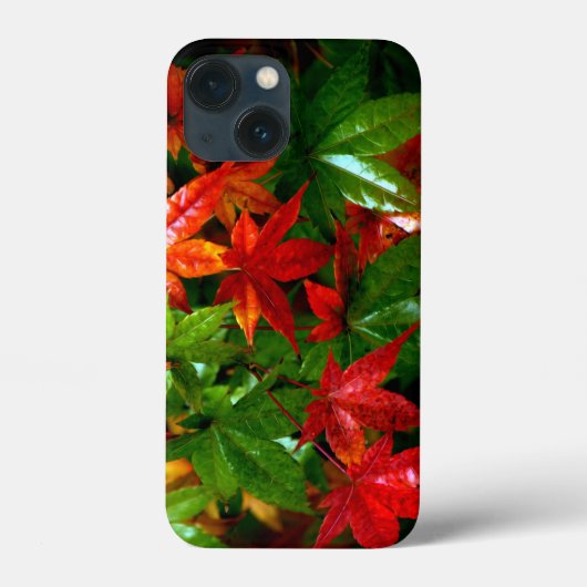 Autumn Rain Case-Mate iPhone Case (Achterkant)