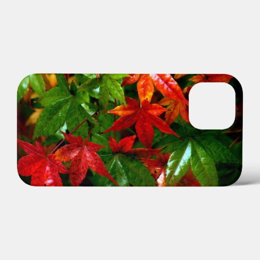 Autumn Rain Case-Mate iPhone Case (Achterkant (horizontaal))