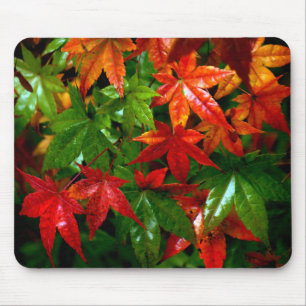 Autumn Rain Muismat