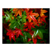 Autumn Rain Perfect Poster (Voorkant)