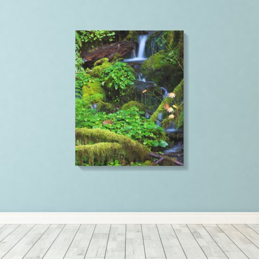 Autumn Rainforest | Nationaal Olympisch Park Canvas Afdruk (Insitu (Houten vloer))