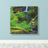 Autumn Rainforest | Nationaal Olympisch Park Canvas Afdruk (Insitu (Houten vloer))