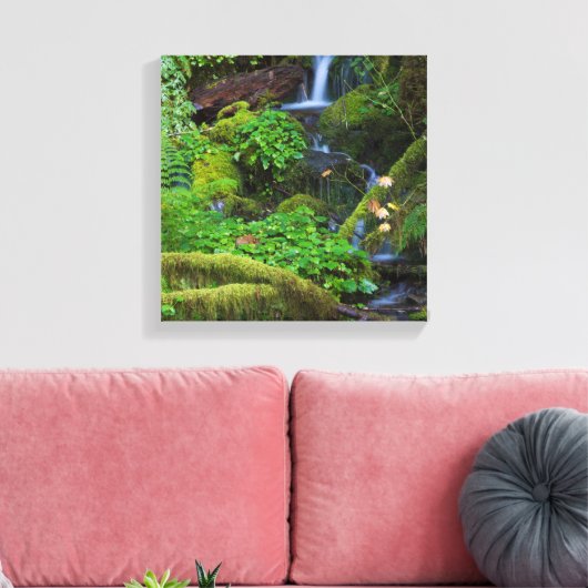 Autumn Rainforest | Nationaal Olympisch Park Canvas Afdruk (Insitu (Woonkamer))
