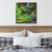 Autumn Rainforest | Nationaal Olympisch Park Canvas Afdruk (Insitu (Slaapkamer))
