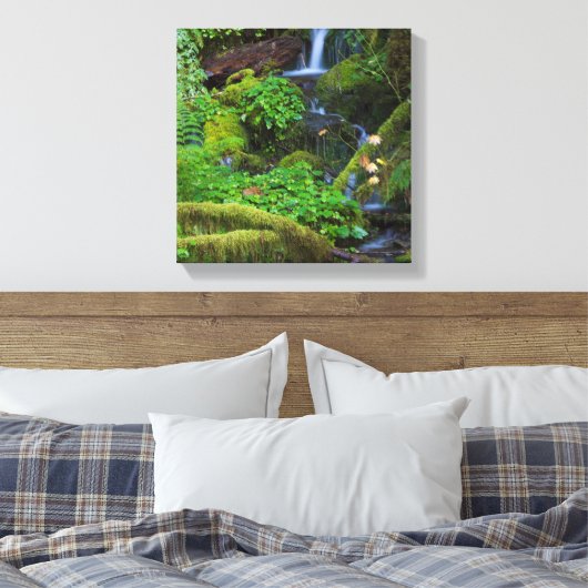 Autumn Rainforest | Nationaal Olympisch Park Canvas Afdruk (Insitu (Slaapkamer))