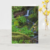 Autumn Rainforest | Nationaal Olympisch Park Kaart (Gele Bloem)