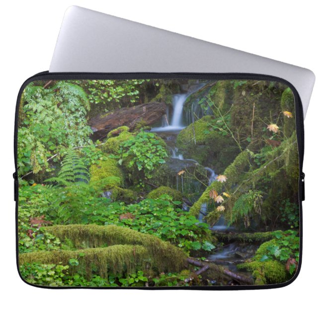 Autumn Rainforest | Nationaal Olympisch Park Laptop Sleeve (Voorkant)