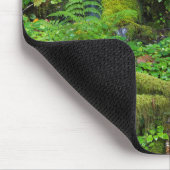 Autumn Rainforest | Nationaal Olympisch Park Muismat (Hoek)