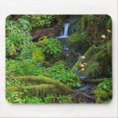 Autumn Rainforest | Nationaal Olympisch Park Muismat (Voorkant)