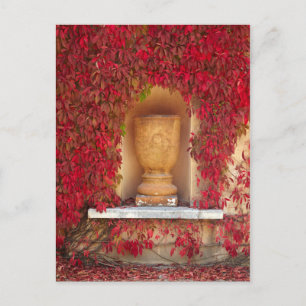 Autumn red foliage, Nieuw-Zeeland Briefkaart