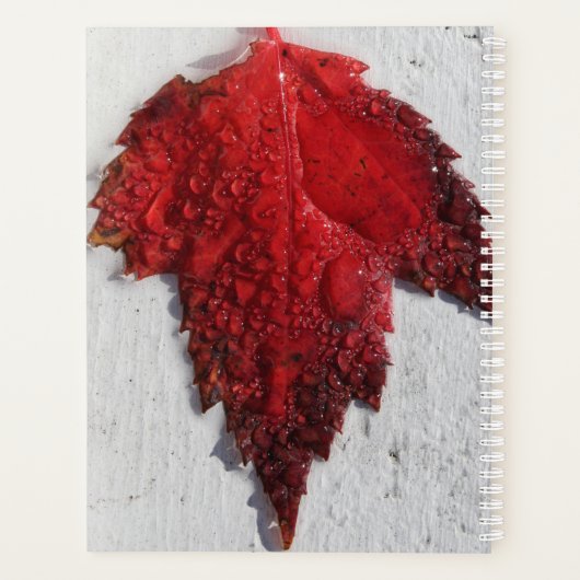 Autumn Red Leaves Planner (Achterkant)