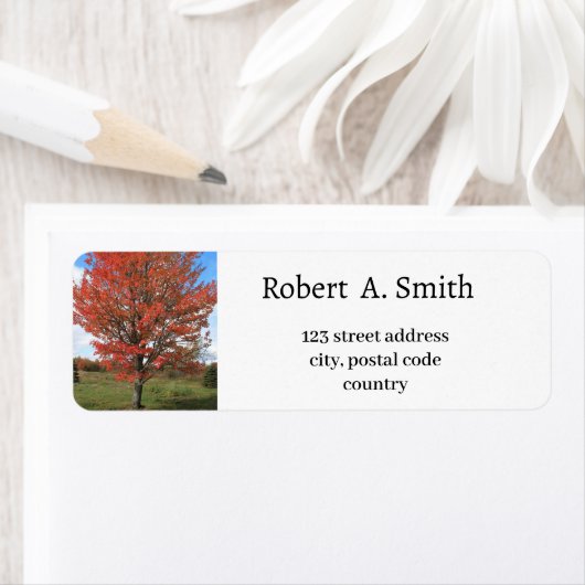 Autumn red maple tree Label (Insitu)
