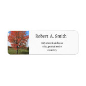 Autumn red maple tree Label (Voorkant)